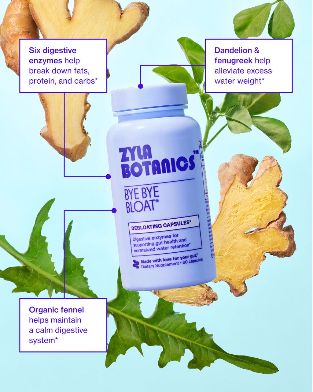 ZYLABOTANICS BYE BYE BLOAT™